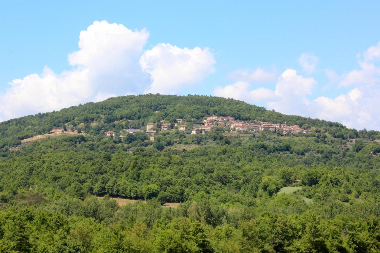 Agriturismo La Via Dell'Oliviera Ciciano ภายนอก รูปภาพ
